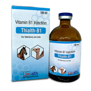 Buy Vitamin B1 Injection Vet in India