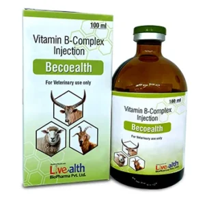 Buy Becoealth in India